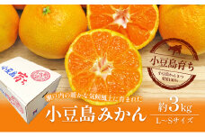 【 小豆島 】 小豆島みかん 約3kg 柑橘 果物 フルーツ 爽やか ビタミンC ビタミン くだもの 国産 香川 香川県 土庄 土庄町