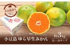【 小豆島 】小豆島 ゆら早生みかん 約3kg 柑橘 みかん ミカン 果物 フルーツ ゆら早生 ジューシー くだもの 国産 香川 香川県 土庄 土庄町