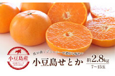 【 小豆島 】小豆島せとか 約2.8kg 柑橘 せとか 瀬戸香 果物 フルーツ 国産 くだもの ジューシー フレッシュ 国産 香川 香川県 土庄 土庄町