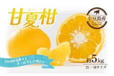【 小豆島 】 甘夏柑 約5kg 柑橘 あまなつかん 果物 フルーツ 爽やか さっぱり くだもの 国産 香川 香川県 土庄 土庄町 