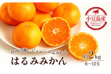 【 小豆島 】小豆島 はるみみかん 約2kg 蜜柑 みかん ミカン はるみ 果物 フルーツ 国産 くだもの 国産 香川 香川県 土庄 土庄町