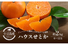 【 小豆島 】小豆島 ハウスせとか 約2kg 柑橘 せとか 瀬戸香 果物 フルーツ 国産 くだもの ハウス 国産 香川 香川県 土庄 土庄町