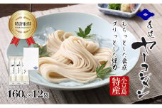 【 小豆島 】小豆島手延べヤーコン麺 160g×12袋 手延べ そうめん 素麺 小豆島 土庄町 麺 ヤーコン ヤーコンめん
