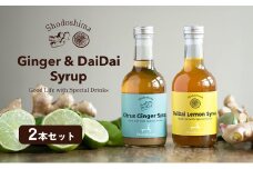 【 小豆島 】小豆島ジンジャー&ダイダイレモンシロップ2本セット シロップ ジンジャー  飲料 ドリンク シロップ ギフト 贈り物 香川 香川県 土庄 土庄町