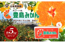 【 小豆島 】瀬戸内海に浮かぶ島・豊島の段々畠で育てられた甘～いみかん（Sサイズ5kg）1箱 豊島 みかん 蜜柑 ミカン 甘い 瀬戸内海 てしま 柑橘 フルーツ 果物 くだもの 香川 香川県 土庄 土庄町