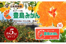 【 小豆島 】瀬戸内海に浮かぶ島・豊島の段々畠で育てられた甘～いみかん（Mサイズ5kg）1箱 豊島 みかん 蜜柑 ミカン 甘い 瀬戸内海 てしま 柑橘 フルーツ 果物 くだもの 香川 香川県 土庄 土庄町