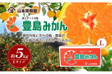 【 小豆島 】瀬戸内海に浮かぶ島・豊島の段々畠で育てられた甘～いみかん（Lサイズ5kg）1箱 豊島 みかん 蜜柑 ミカン 甘い 瀬戸内海 てしま 柑橘 フルーツ 果物 くだもの 香川 香川県 土庄 土庄町