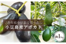 【 小豆島 】【 小豆島産 】小豆島で育った小豆島産アボカド 約1kg アボカド アボガド 野菜 やさい グリーン サラダ 森のバター 食品 ディップ 国産 1kg 香川 香川県 土庄 土庄町