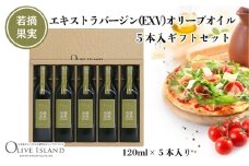 【 小豆島 】若摘果実エキストラバージン(EXV)オリーブオイル5本入ギフトセット(120ml×5本) オリーブオイル エクストラバージン 小豆島 調味料 オイル セット