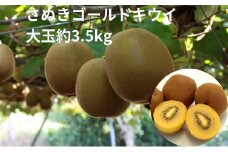 さぬきゴールドキウイ　大玉約3.5kg 果物詰合せ フルーツ 