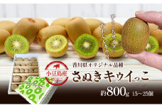 小豆島さぬきキウイっこ 約800g