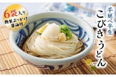 手延べ半生こびきうどん 6袋入り 特製ぶっかけ醤油2本付