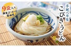 手延べ半生こびきうどん 9袋入り 特製ぶっかけ醤油3本付