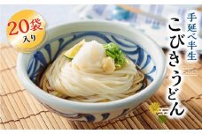 手延べ半生こびきうどん 20袋入り