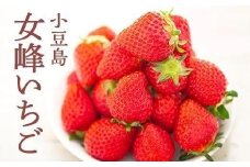 小豆島女峰いちご 約230g×4パック