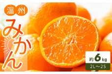 温州みかん 約6kg