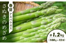 春芽アスパラガス「さぬきのめざめ」(100g×12束)