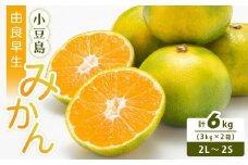 小豆島 由良早生みかん 3kg×2箱