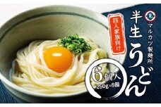 【ギフト用】半生うどん 250g×6個 4人家族向け（贈答用・熨斗つき）