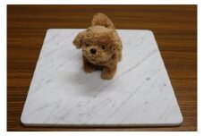 大理石ペットひんやりボード　40cm×40cm