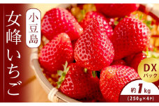 小豆島女峰いちご DXパック 約250g×4パック (1kg)