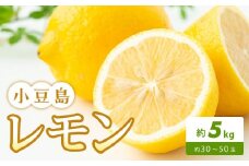 小豆島レモン 約5kg