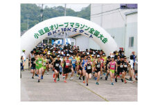 【5/19開催】第47回　小豆島オリーブマラソン全国大会　出走権　1名様分【ハーフマラソンコース】（参加賞付き）