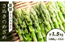 夏芽アスパラガス「さぬきのめざめ」(100g×15束)