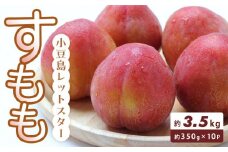 小豆島レットスター (すもも) 350g×10パック