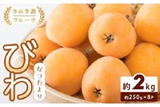 【さぬき讃フルーツ】びわ なつたより 約1kg(約250g×4)×2箱