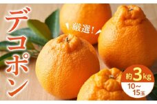 【2026年3月上旬より発送】厳選！濃厚甘味の「デコポン」約3kg