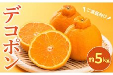 【2026年3月上旬より発送】ご家庭向け！濃厚甘味の「デコポン」約5kg