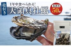 小豆島 天領真牡蠣 (殻付き加熱用) 50個セット