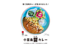 小豆島町醤（ひしお）カレー（200g×6個）