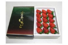 小豆島町フルーツ年6回定期便