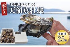 小豆島 天領真牡蠣 (殻付き生食用) 25個セット