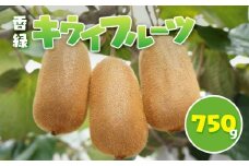 香緑 キウイフルーツ 750g