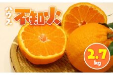 ハウス不知火 2.7kg