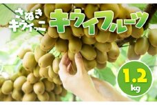 さぬきキウイっこ キウイフルーツ 1.2kg