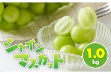 シャインマスカット 1.0kg