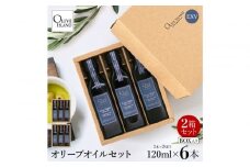 エキストラバージン（EXV）オリーブオイル3本入ギフト2セット（120ml×3本×2）