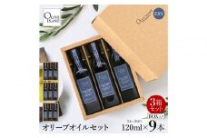 エキストラバージン（EXV）オリーブオイル3本入ギフト3セット（120ml×3本×3）