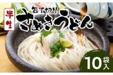 包丁切りさぬきうどん半生10袋入（つゆ付）|人気 うどんセット セット 半生うどん 簡単調理 コシ アレンジ 料理 出汁 お取り寄せ かけうどん 釜揚げうどん グルメ 小分け ギフト 時短料理 アレンジ 香川県 三木町 |_mk041-007
