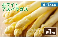 ホワイトアスパラガス約1kg（6～7月出荷）|アスパラ アスパラガス ホワイトアスパラガス 新鮮 素材の味 夏野菜 直送 香川県 三木町|_mk002-003
