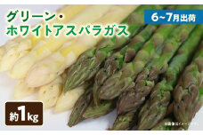 グリーン・ホワイトアスパラガス約1kg（6～7月出荷） | ホワイトアスパラ アスパラガス グリーンアスパラ アスパラ 野菜 生野菜 夏野菜 直送 新鮮 おすすめ 柔らかい  香川県 三木町 |_mk002-004