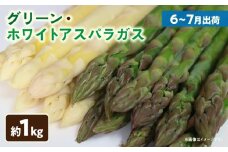 グリーン・ホワイトアスパラガス約1kg（6～7月出荷） | ホワイトアスパラ アスパラガス グリーンアスパラ アスパラ 野菜 生野菜 夏野菜 直送 新鮮 おすすめ 柔らかい  香川県 三木町 |_mk002-004