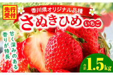 三木町地域いちご部会「さぬきひめ」1.5kg |いちご 苺 イチゴ さぬき姫 さぬきひめ 希少 甘い スイーツ ストロベリー 冷蔵 1kg以上 旬 果物 フルーツ 青果物 香川県  香川県オリジナルデザート おすすめ|_mk006-012