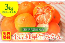 小原紅早生みかん　3kg【香川県共通返礼品】|みかん フルーツ 果物 果実 小原紅早生 デザート 贈答 贈り物 柑橘 柑橘系 グルメ 人気 おすすめ 旬 旬のみかん 季節 季節のみかん 柑橘果物 果汁 香川県 三木町 送料無料|_mk025-001