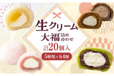 生クリーム大福詰め合わせ（20個入）|大福 生クリーム大福 冷凍 20個 5種類 デザート スイーツ 詰め合わせ 香川県 三木町|_mk021-001