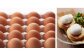 オリーブEgg
